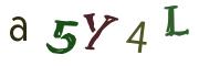 CAPTCHA ی تصویری